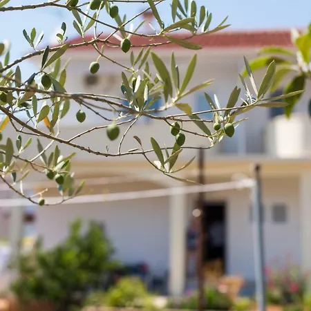 Апартаменты Maco Петрчане