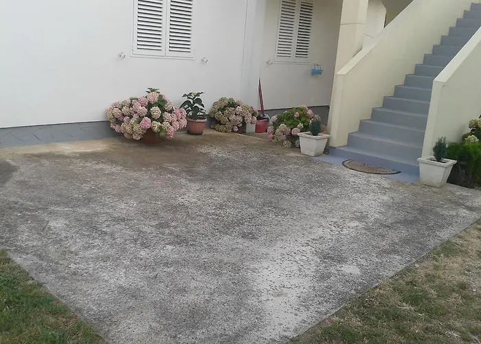 Maco Петрчане