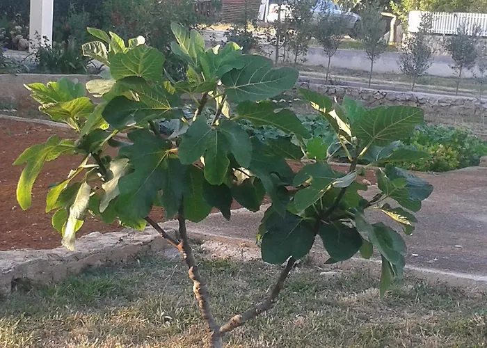 Апартаменты Maco