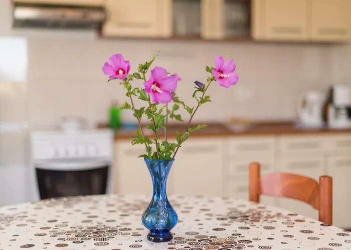 Maco * Петрчане