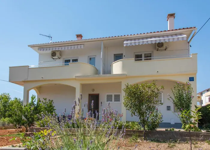 Maco * Петрчане