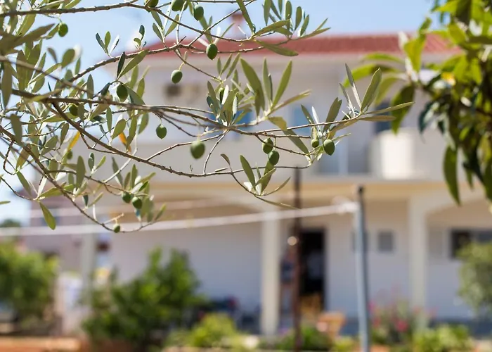 Апартаменты Maco Петрчане