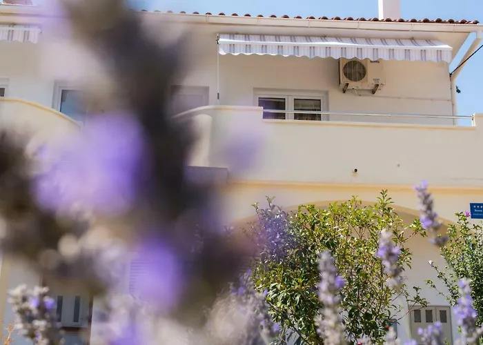 Maco Петрчане