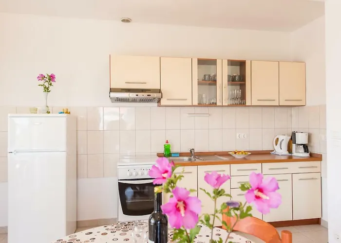 Maco Петрчане